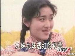 什么明星跑过龙套车,揭秘跑龙套明星的蜕变之路