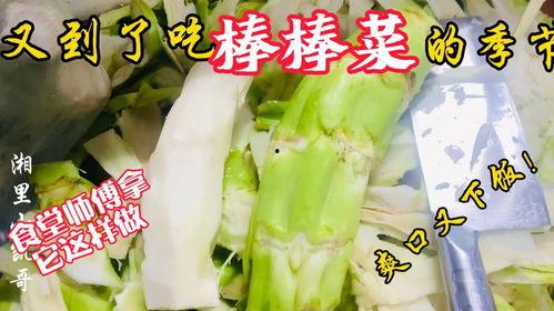 榆林老师吃瓜,一场校园风波背后的真相与反思