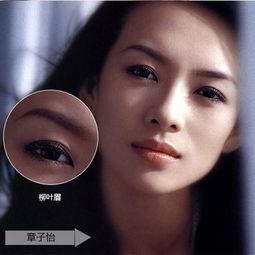 柳叶眉女明星,美丽与魅力的完美融合