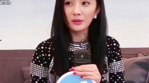 明星儿圈,揭秘娱乐圈萌娃们的成长故事