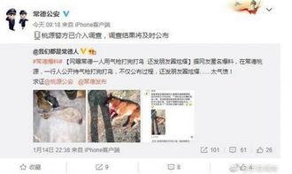 网友爆料最新新闻,最新热点事件引发社会关注