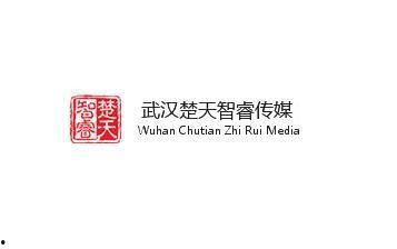 楚天传媒爆料视频大全,揭秘热点事件背后的真相
