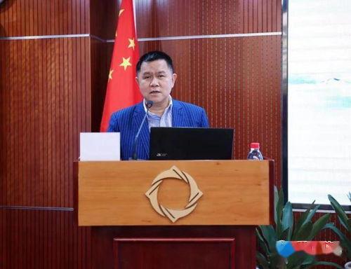 商老庄网红,探寻网红打卡地的魅力与故事