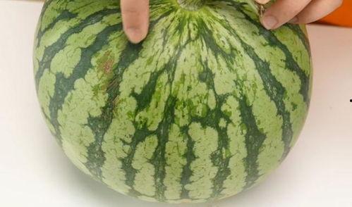 不知该吃哪个瓜,不知该吃哪个瓜的终极抉择指南